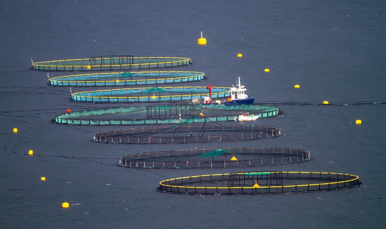 Høykvalitets filter og filterløsninger til bransjene marine, havbruk og kystfiske.